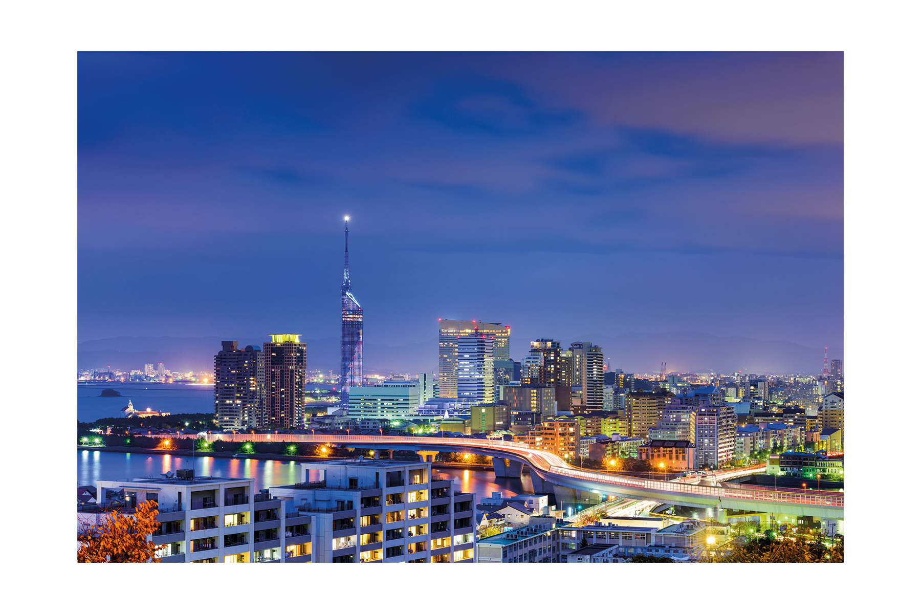 福岡タワーを中心にした福岡市内の夜景。街並みと海辺がライトアップされ、美しい都市の光が広がっている様子。